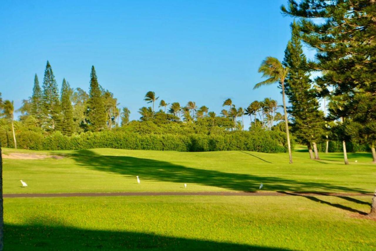 فيلا Beach Glam At Turtle Bay On The Golf Course كاهوكو المظهر الخارجي الصورة