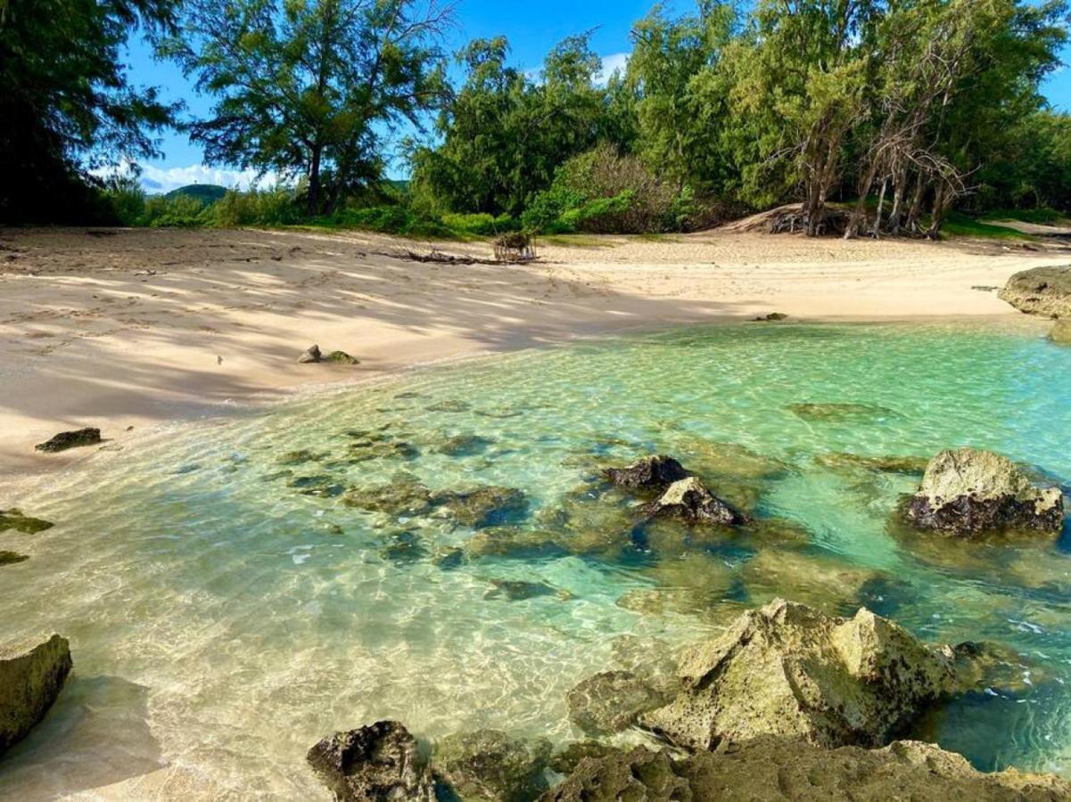 فيلا Beach Glam At Turtle Bay On The Golf Course كاهوكو المظهر الخارجي الصورة